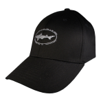 6520_dogfish