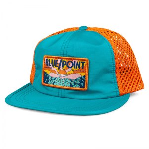 8900_bluepoint