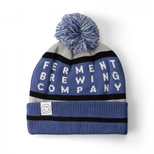 Website_Pom_Beanie_29