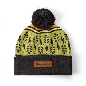 Website_Pom_Beanie_30