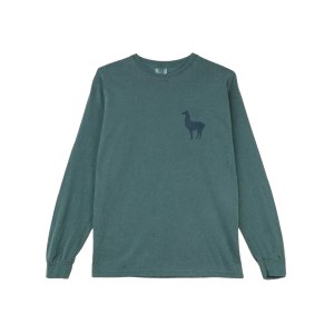 The-Shady-Llama_Llama_Longsleeve_Llama-Logo_Washed-Teal_Back-removebg