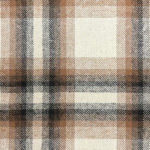 Flannel_2024_Fossil