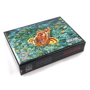 ballast_puzzle_1