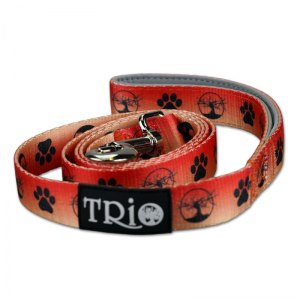 Trio Leash